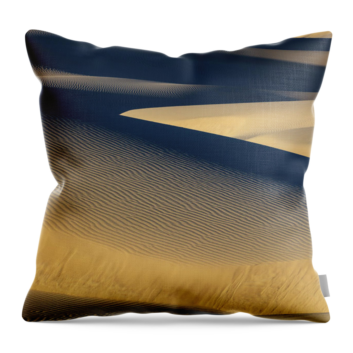 Mesquite Throw Pillow featuring the photograph Wind Sculpture by Mike Lang