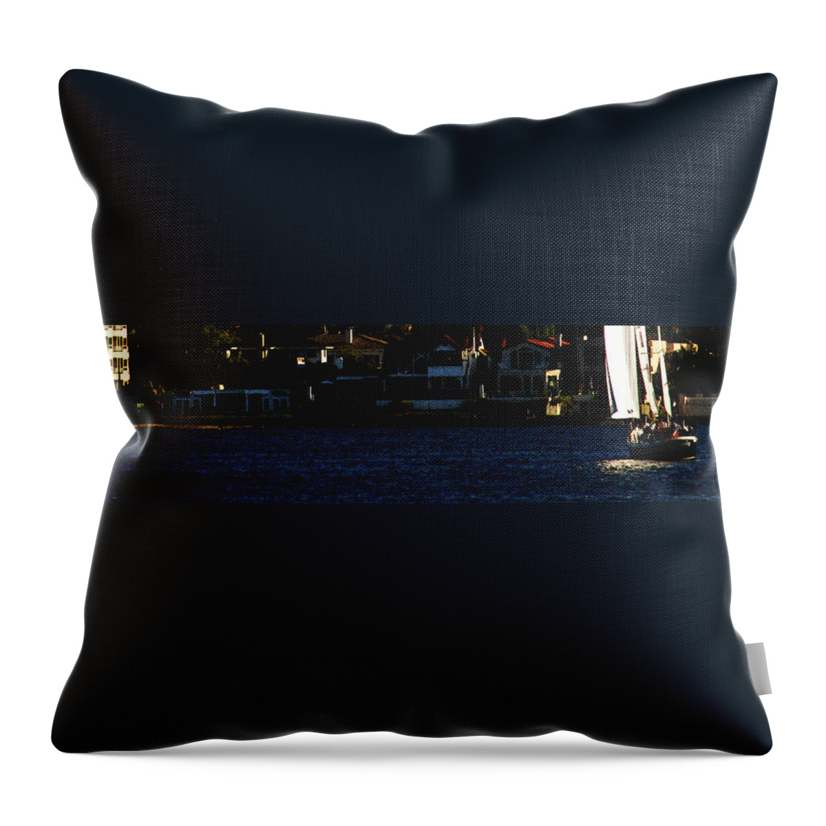 Harbor Throw Pillow featuring the photograph Windfrog by Linda Shafer