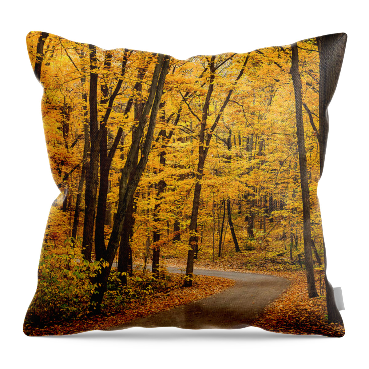 Illinois Throw Pillow featuring the photograph Winding Road of Yellow Trees by Joni Eskridge