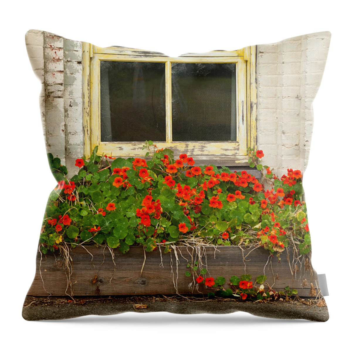 Flower Throw Pillow featuring the photograph Window Box by Denise Dethlefsen