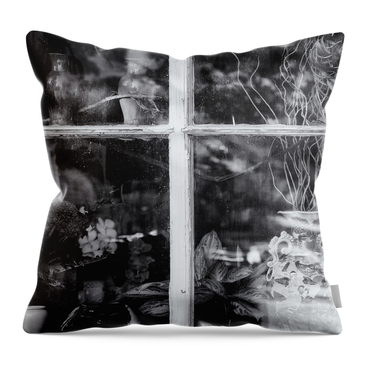 Brattleboro Vermont Throw Pillow featuring the photograph Window In Black and White by Tom Singleton