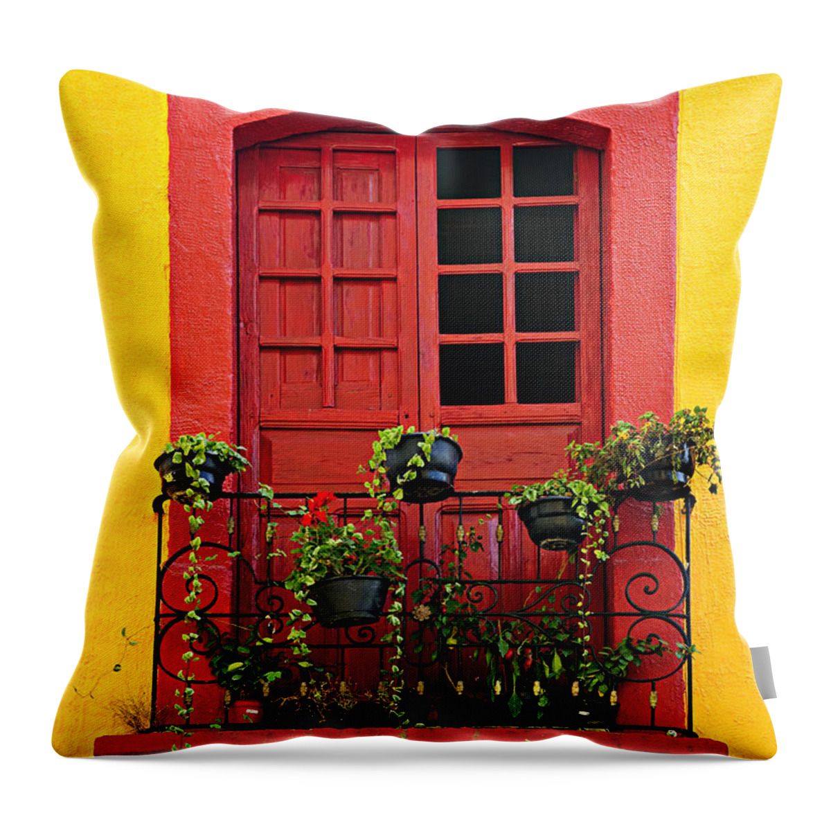 Window Throw Pillow featuring the photograph Window on Mexican house by Elena Elisseeva