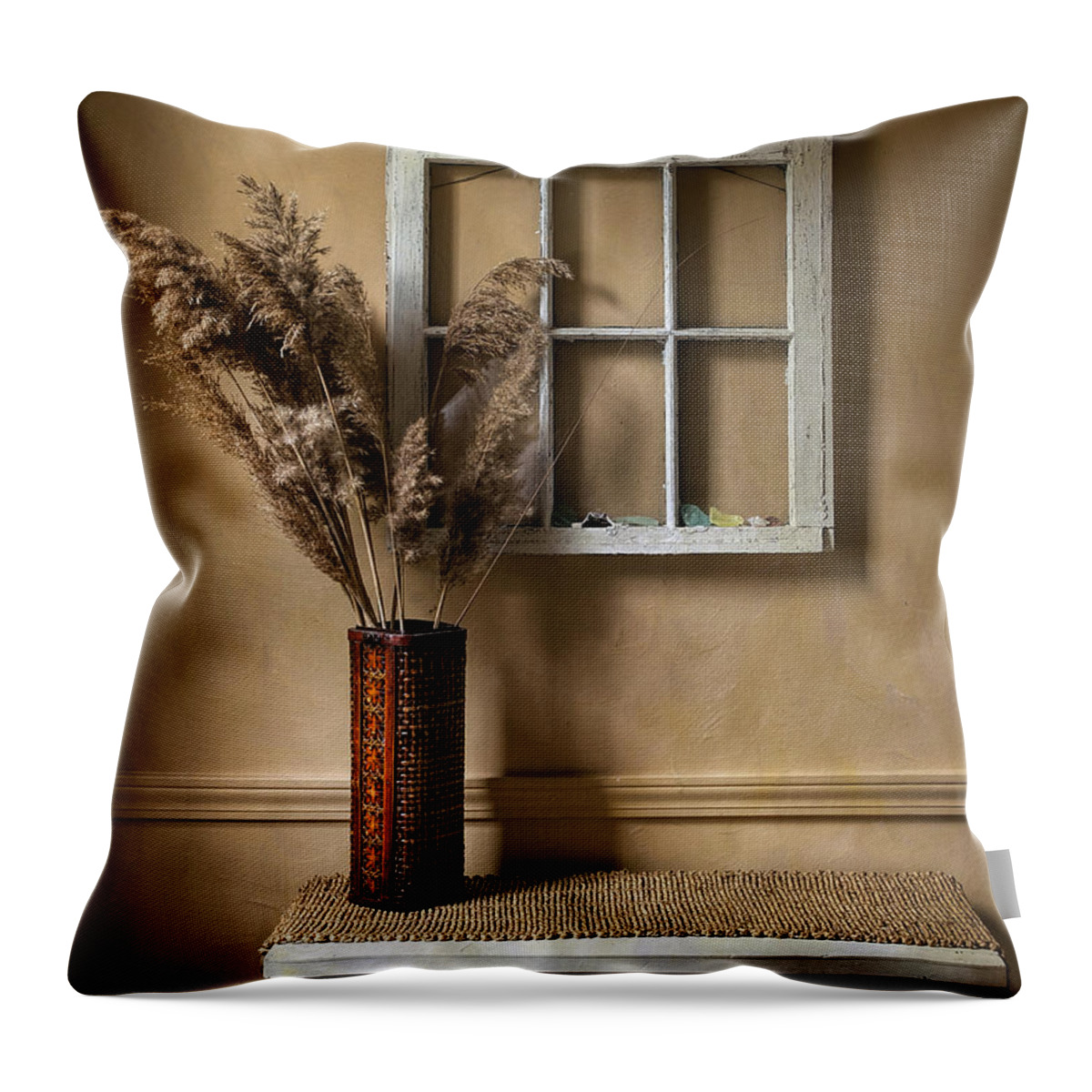 Still Life Throw Pillow featuring the photograph Window to Nowhere by Richard Macquade