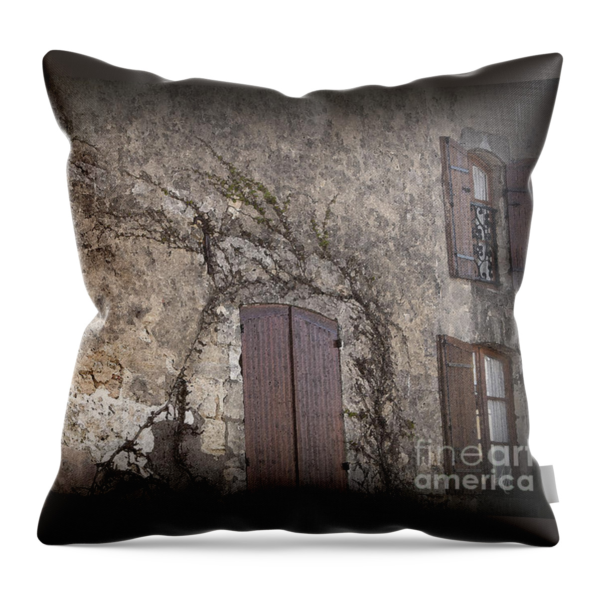 Bourg Throw Pillow featuring the photograph Windows Among the Vines by Victoria Harrington