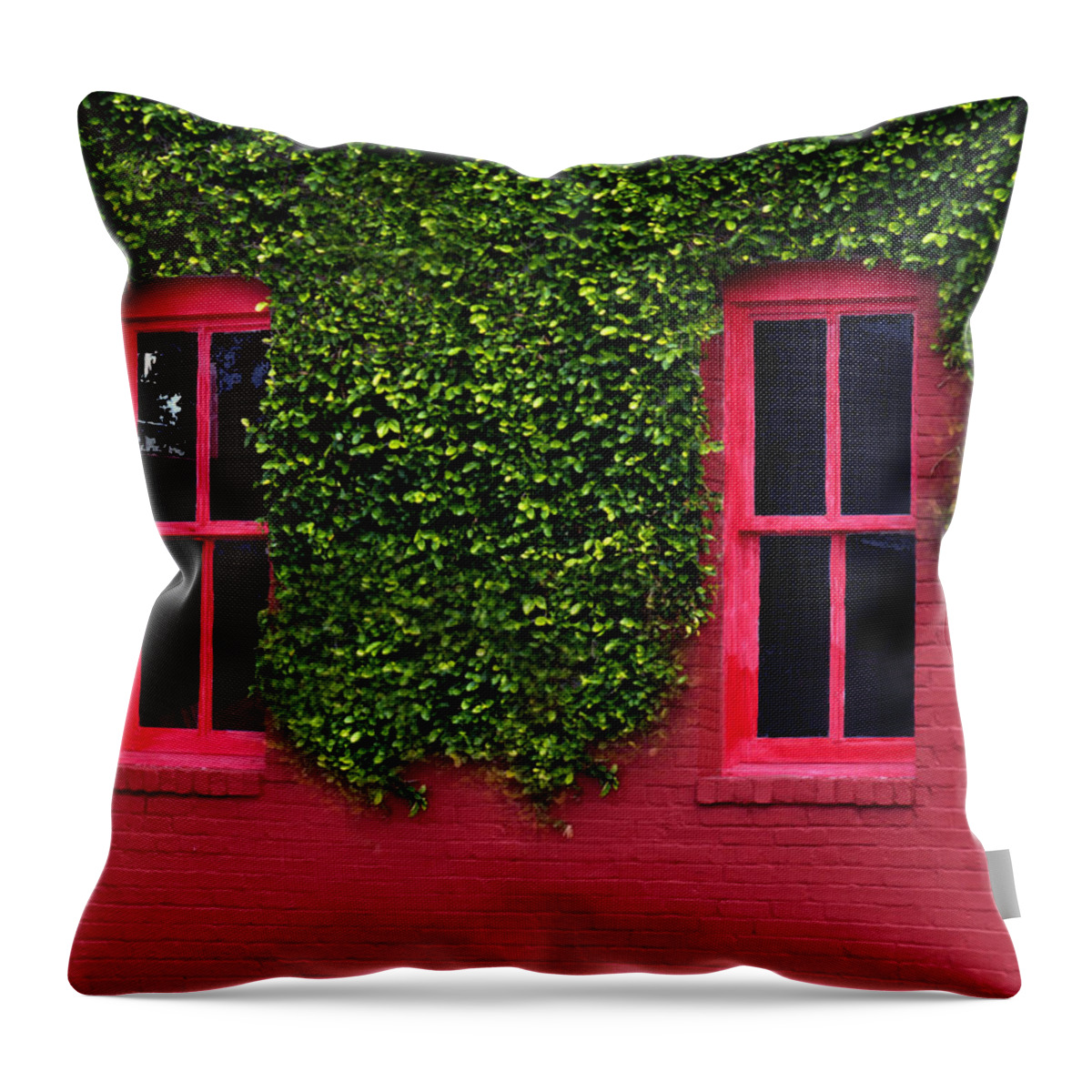 Green Cove Springs Throw Pillow featuring the photograph Windows by Bob Johnson