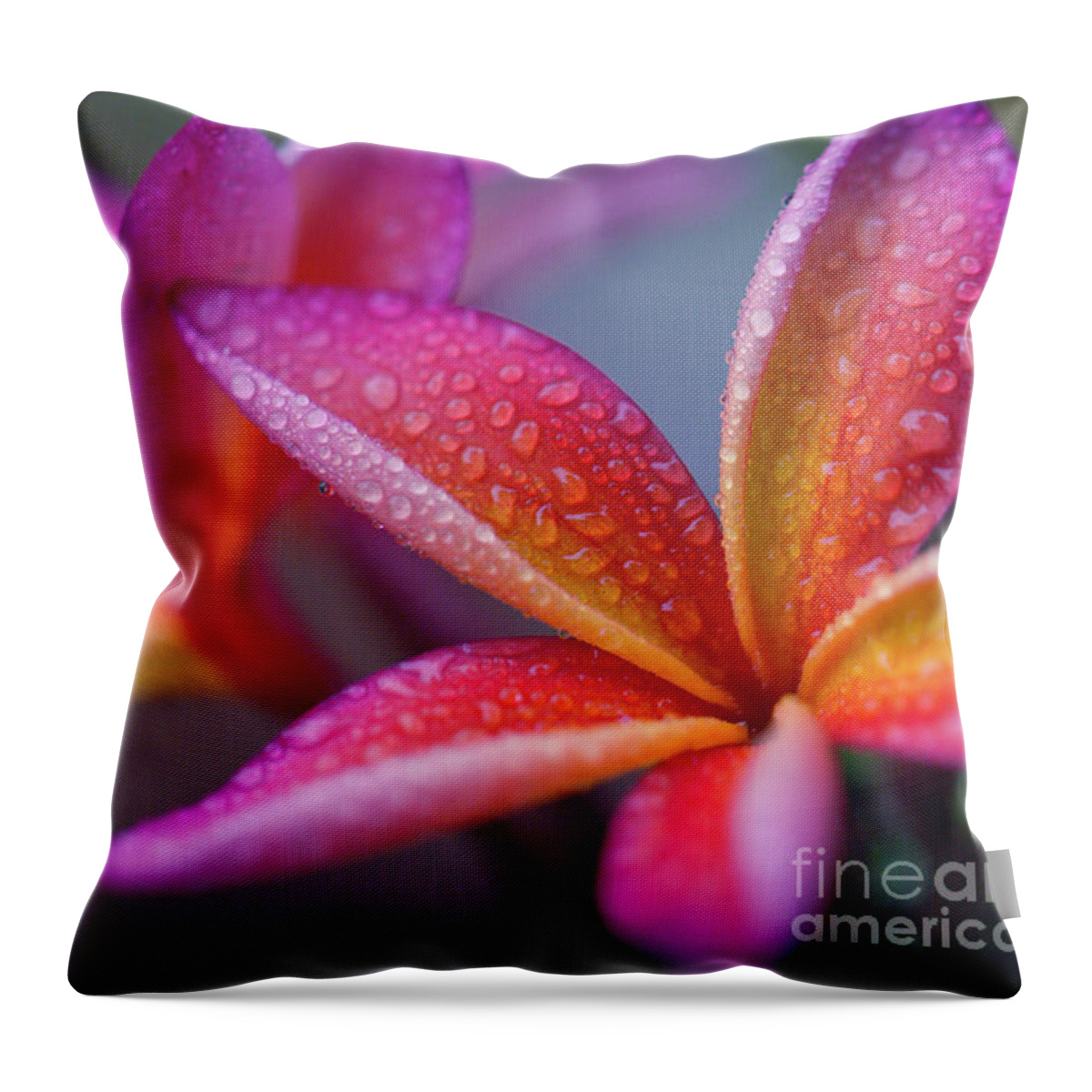 Plumeria Throw Pillow featuring the photograph Windows Into Nature by Sharon Mau
