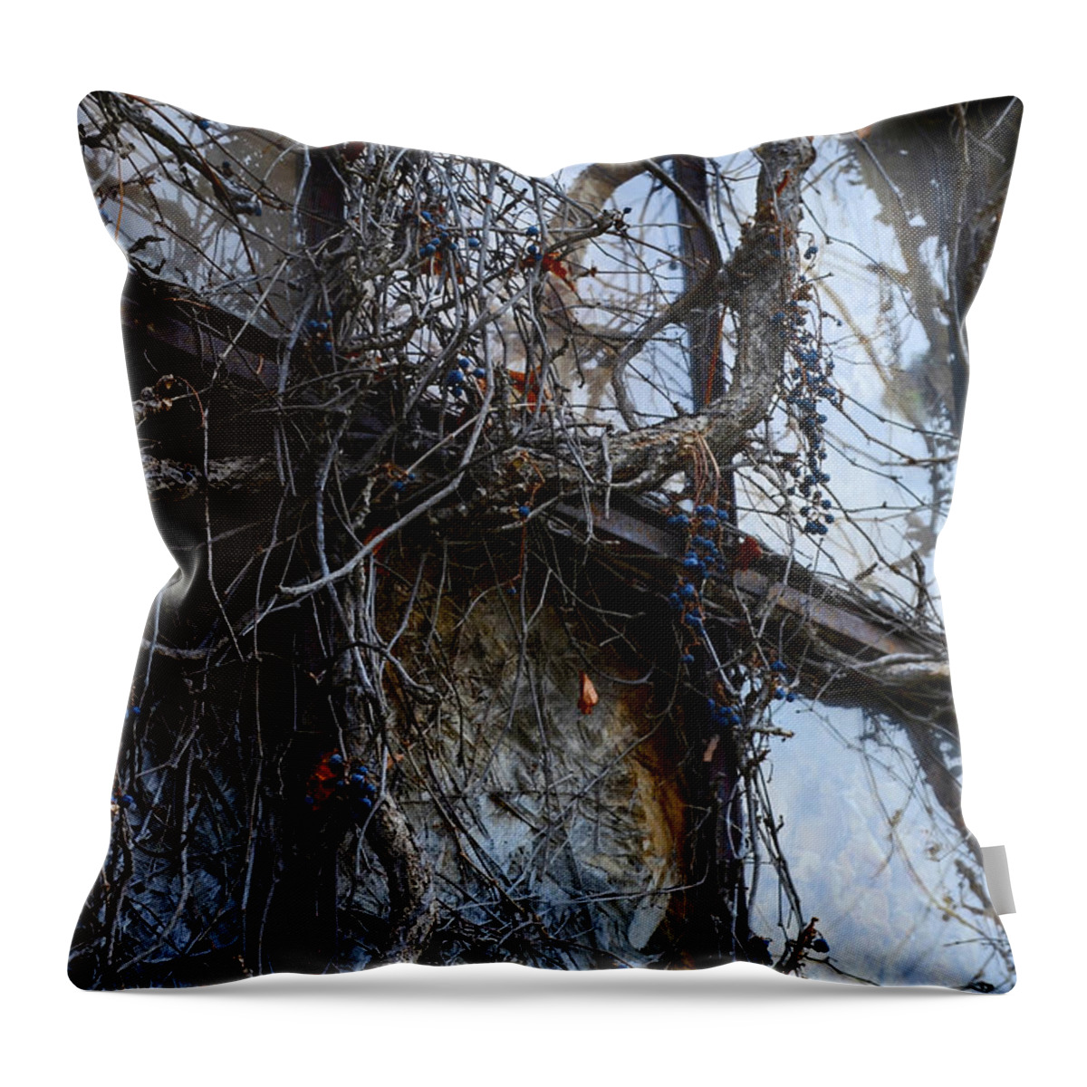 Abstract Throw Pillow featuring the photograph Windows of Demise by Steve L'Italien