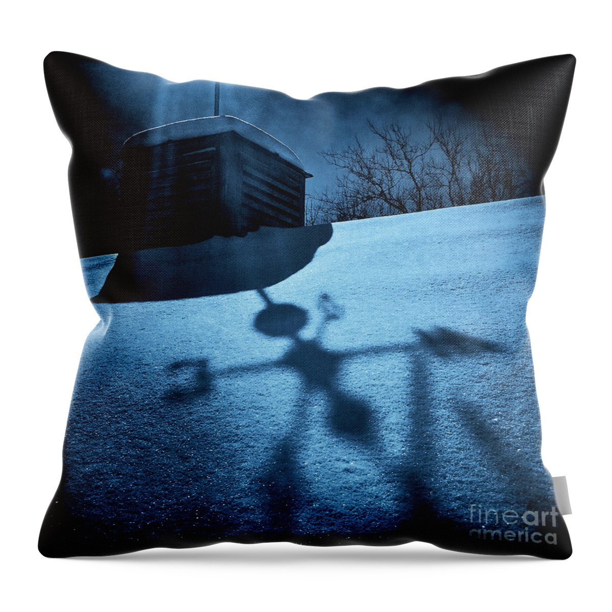 Snow Throw Pillow featuring the photograph Winds of Change by Kevyn Bashore