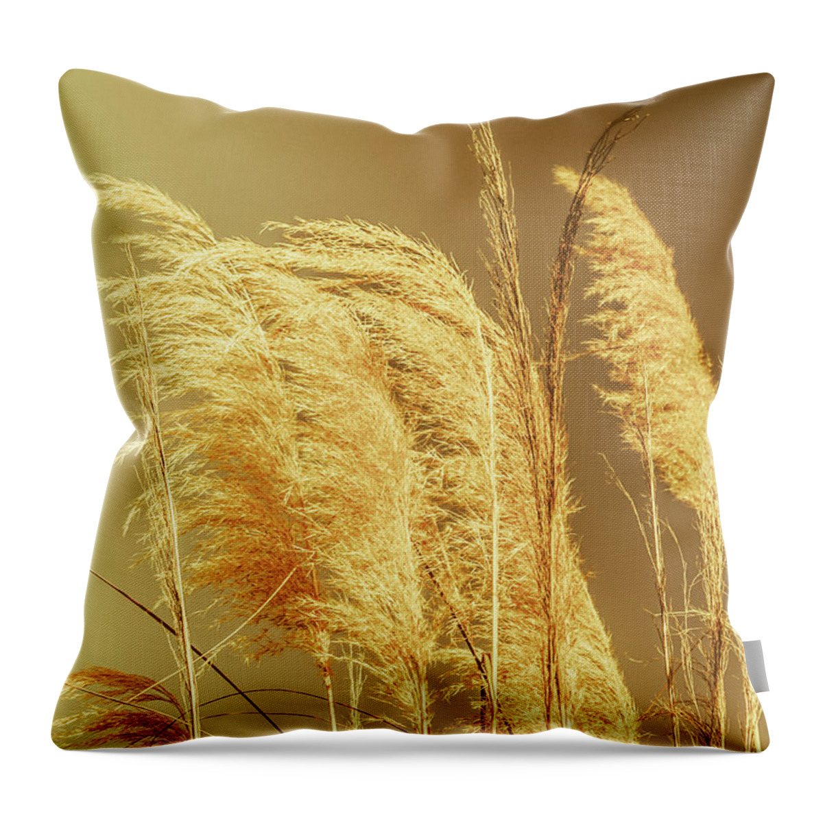 Dry Throw Pillow featuring the photograph Windswept autumn brush grass by Jorgo Photography