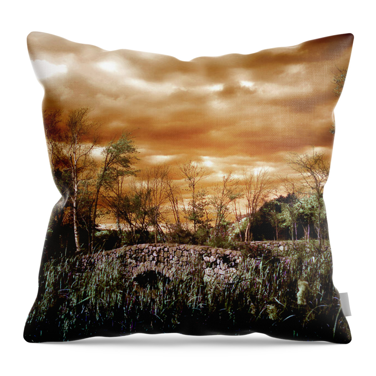Moody Landscape Throw Pillow featuring the digital art Windy and Moody by Lilia S