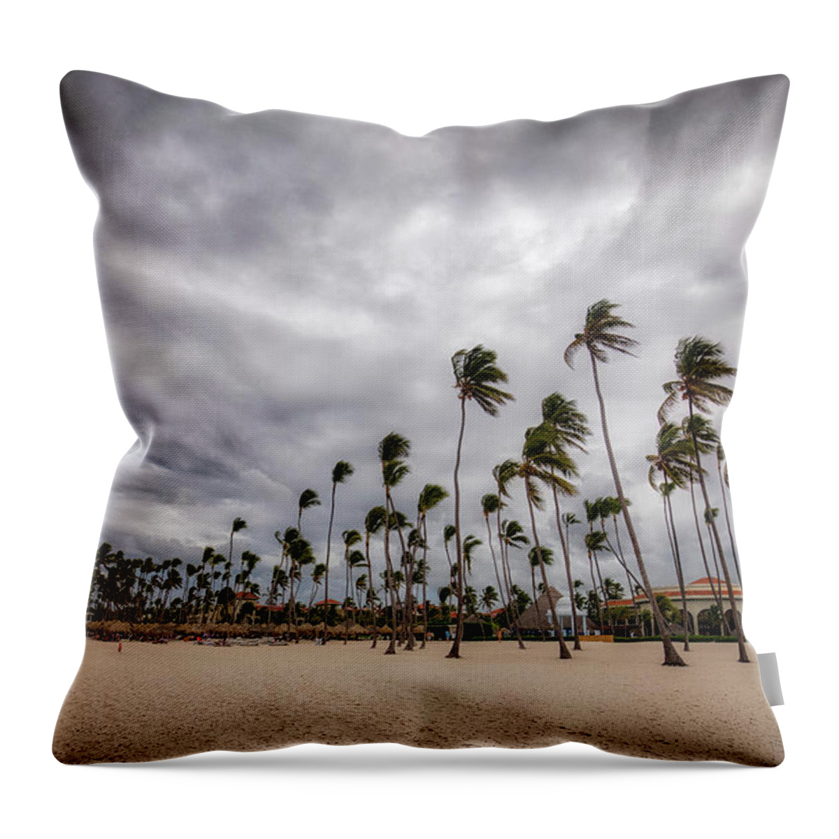Punta Throw Pillow featuring the photograph Windy Beach by Ross Henton