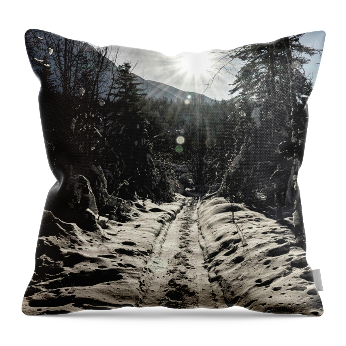 Alaska Throw Pillow featuring the photograph Windy Day by Fred Denner