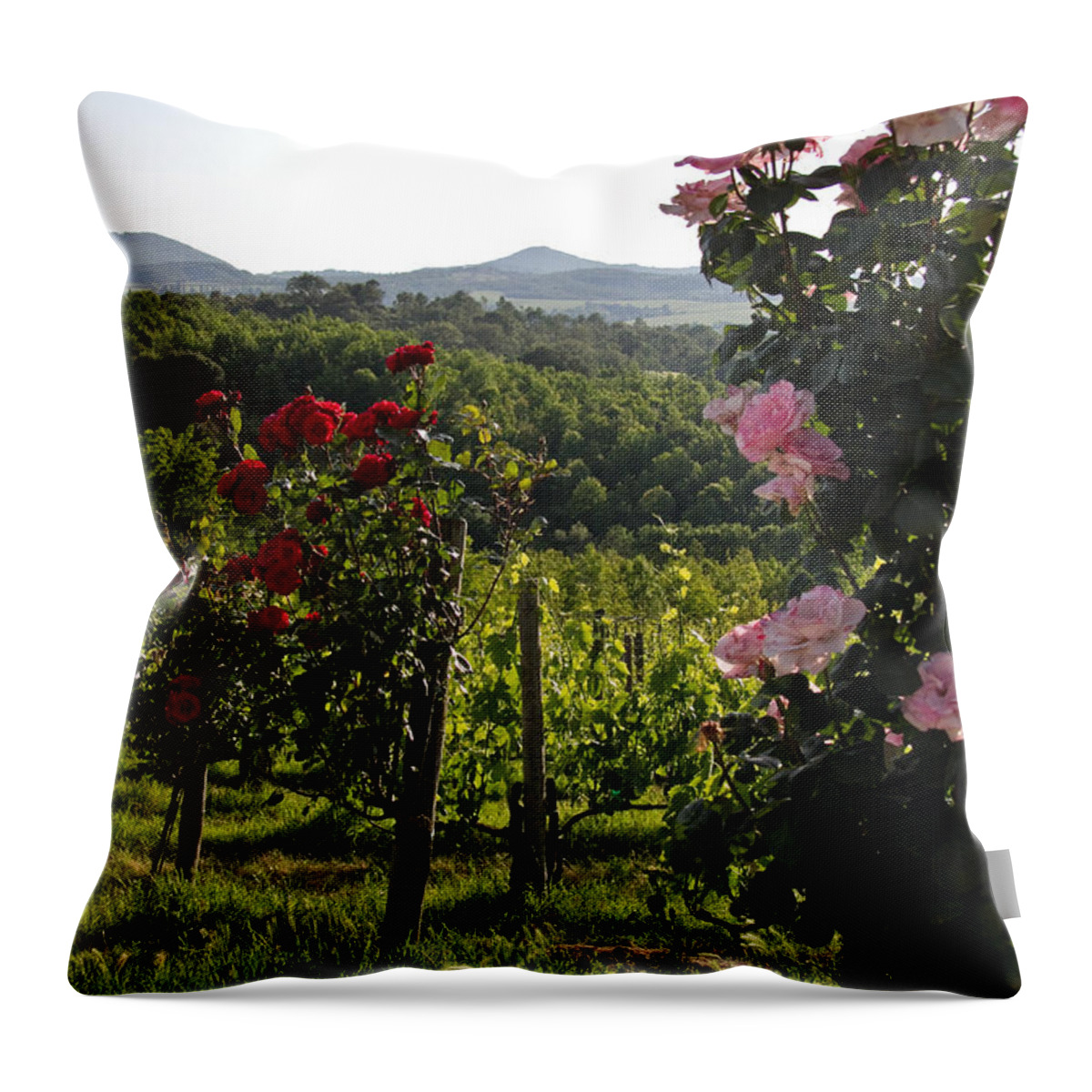 Tuscany Throw Pillow featuring the photograph Wine and Roses by Roger Mullenhour