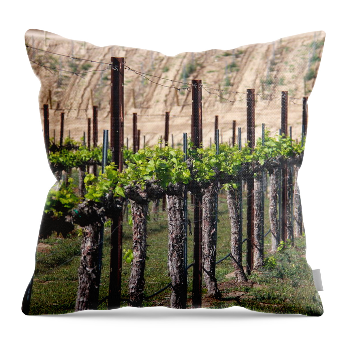 Wine Throw Pillow featuring the photograph Wine Country Spring by Suzanne Oesterling