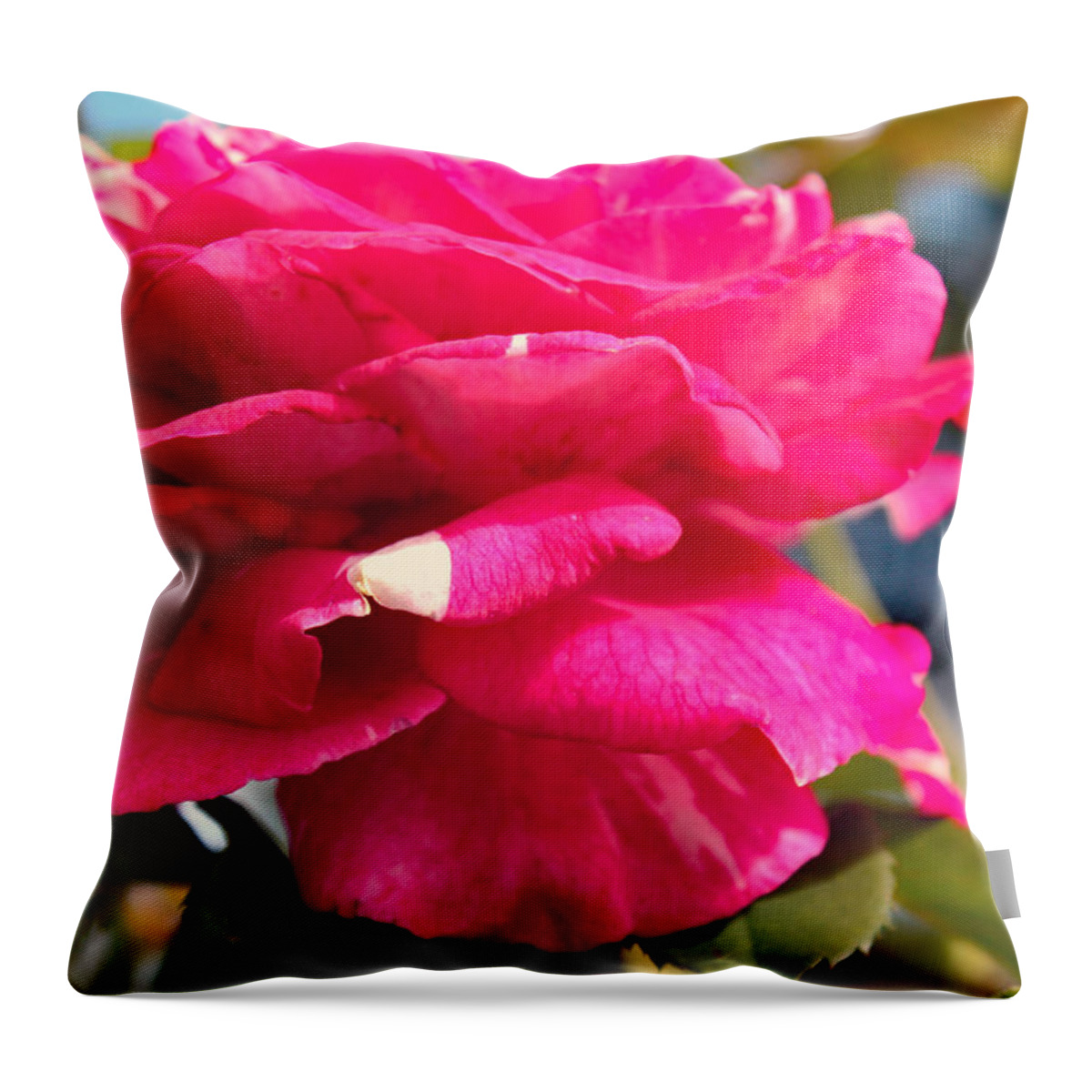 Rose Throw Pillow featuring the photograph Wine-Cream Rose Beauty Side View by DB Hayes