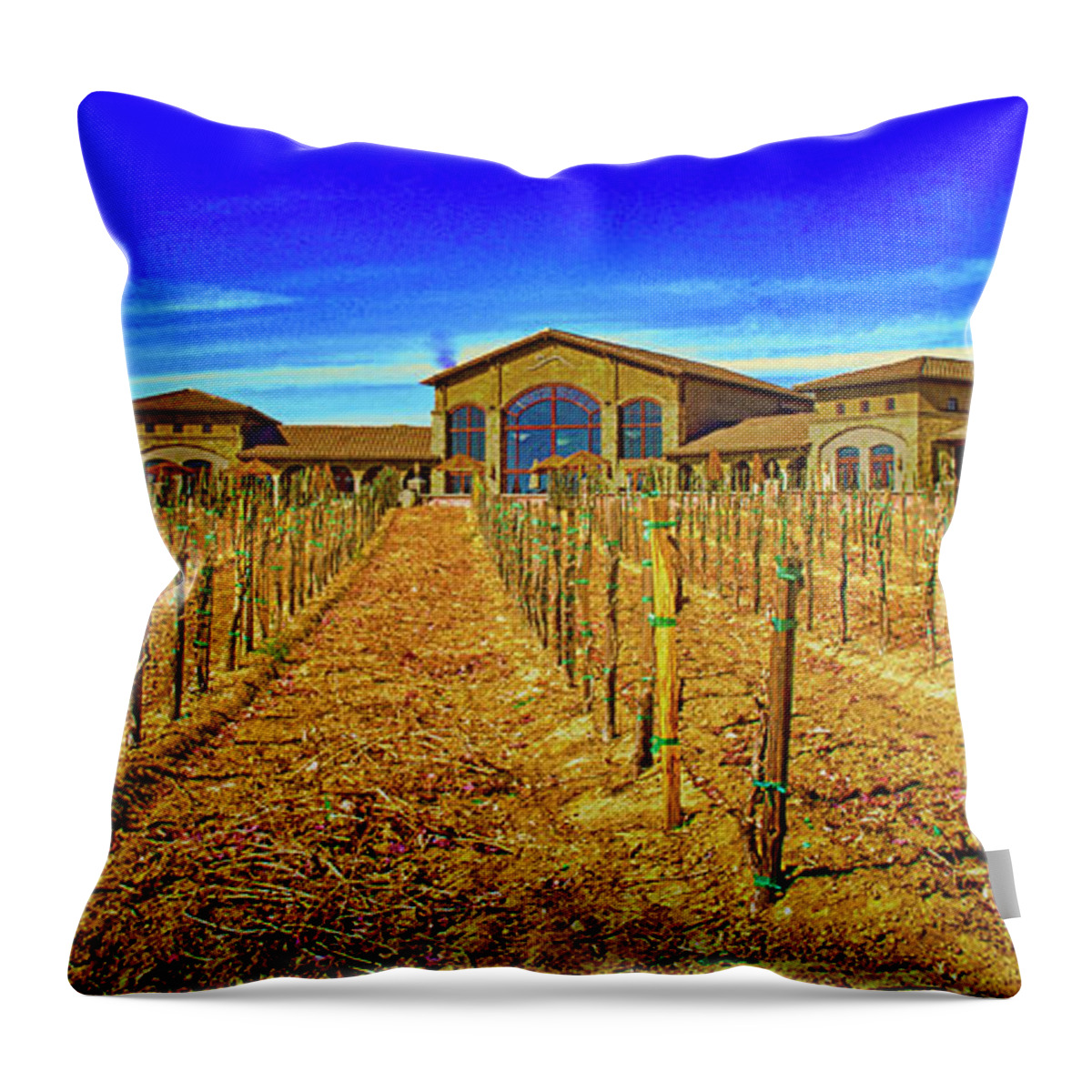 Farm Throw Pillow featuring the photograph Winery Farm by Joseph Hollingsworth