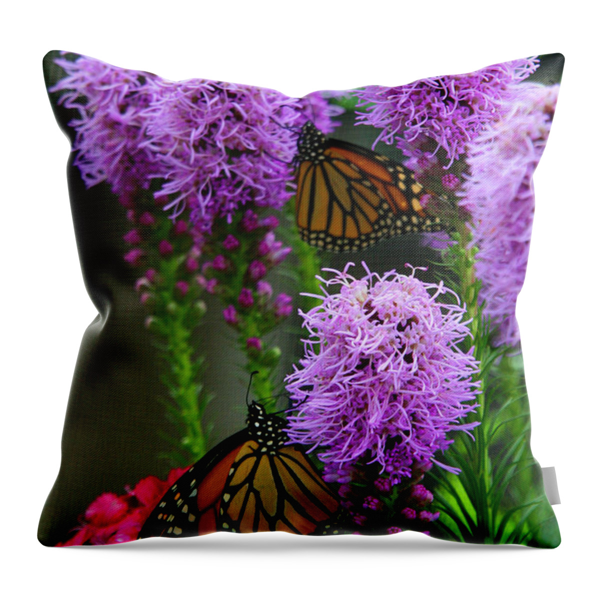Nature Throw Pillow featuring the photograph Winged Beauties by Crystal Nederman