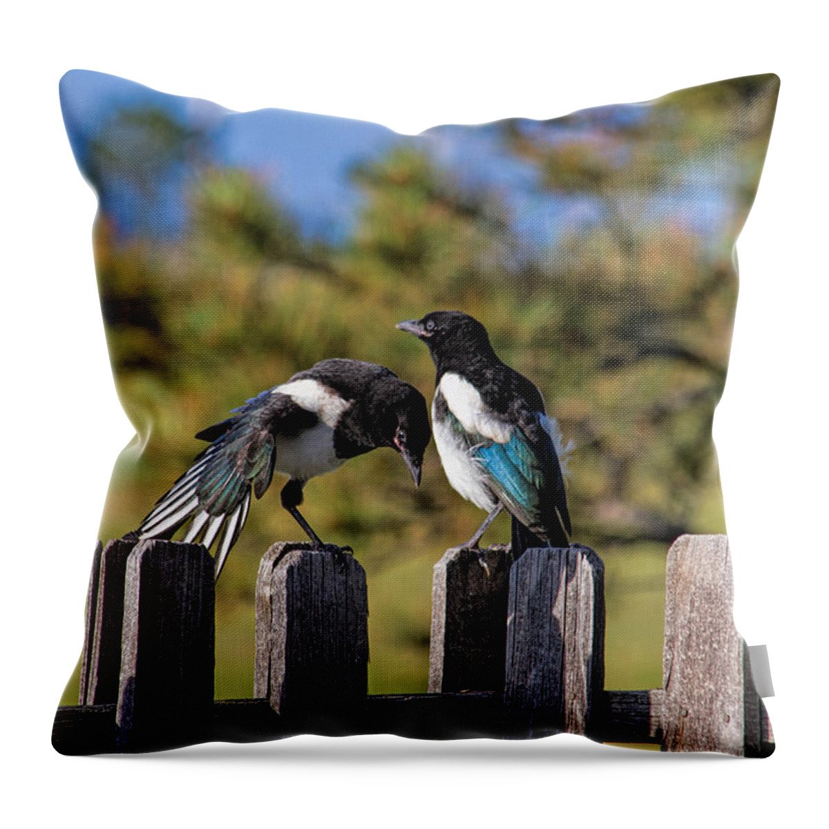 Bird Throw Pillow featuring the photograph Winging It by Alana Thrower