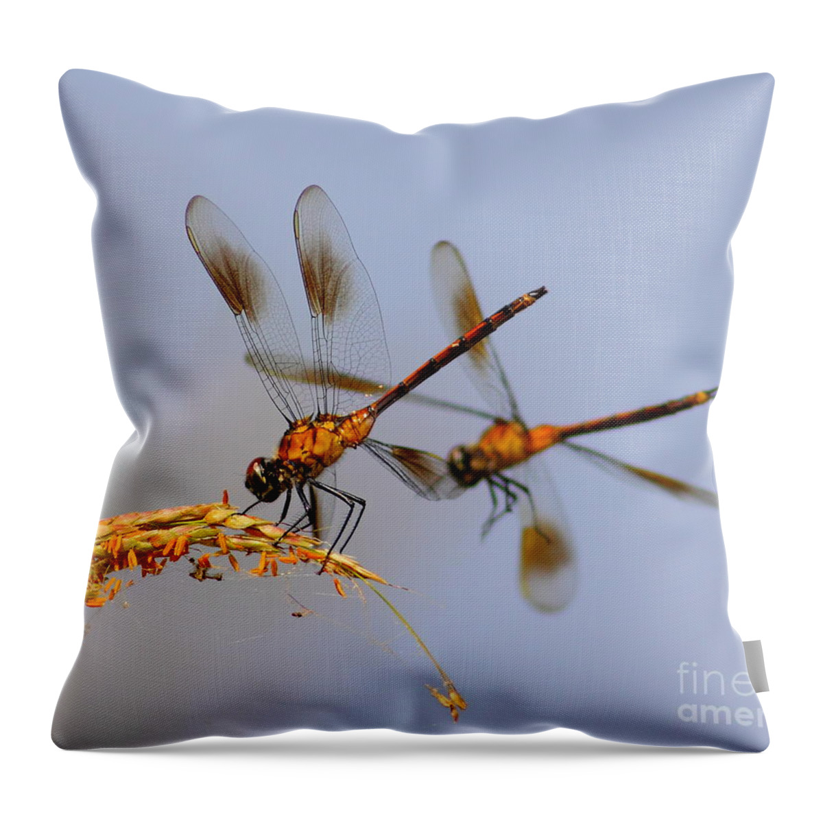 Animal Throw Pillow featuring the photograph Wingman by Robert Frederick
