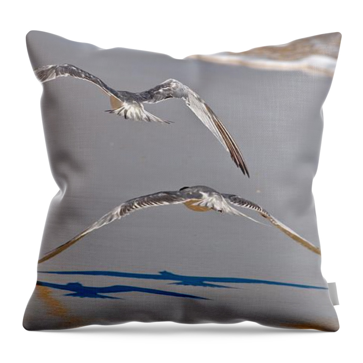 Seagulls Throw Pillow featuring the photograph Wings in flight by Csilla Florida