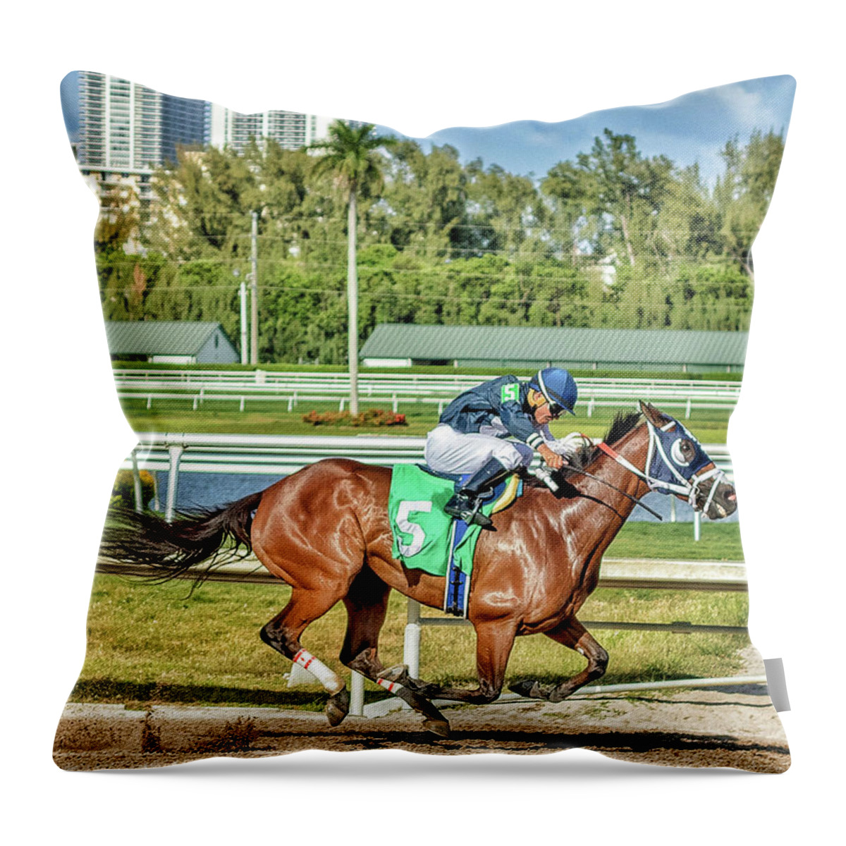 Horse Throw Pillow featuring the photograph Winner by Mike Dunn