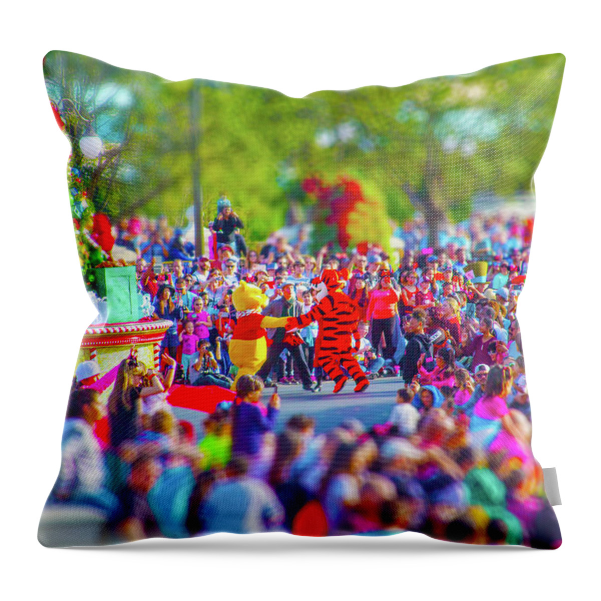Wdw Throw Pillow featuring the photograph Winnie the Pooh and Tigger by Mark Andrew Thomas