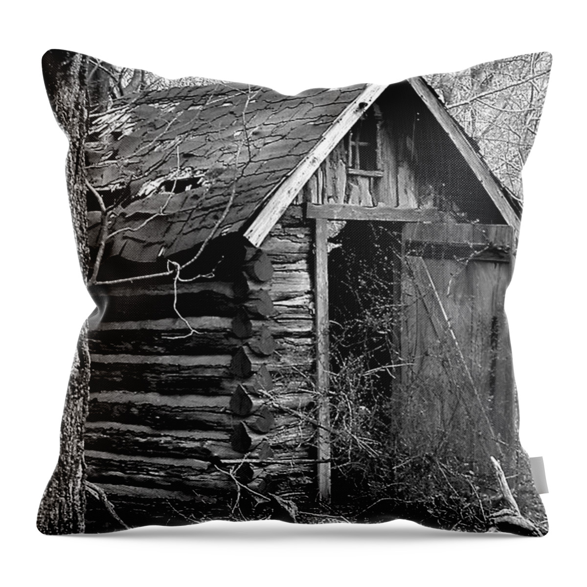 Ansel Adams Throw Pillow featuring the photograph WinslowLogOuthouse-11x17 by Curtis J Neeley Jr