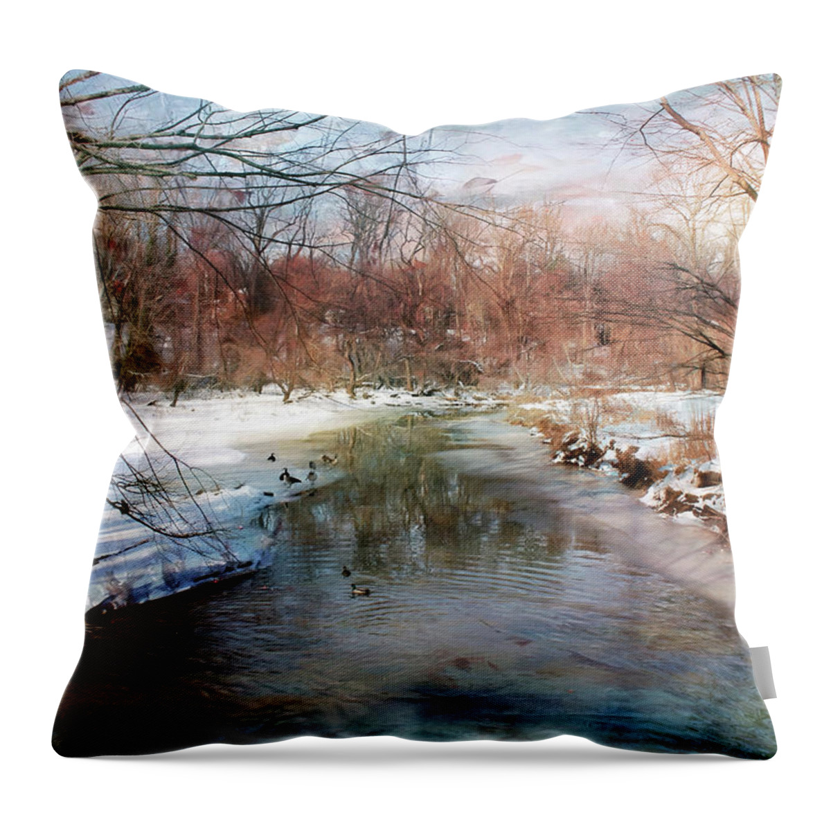River Throw Pillow featuring the photograph Winter at Cooper River by John Rivera