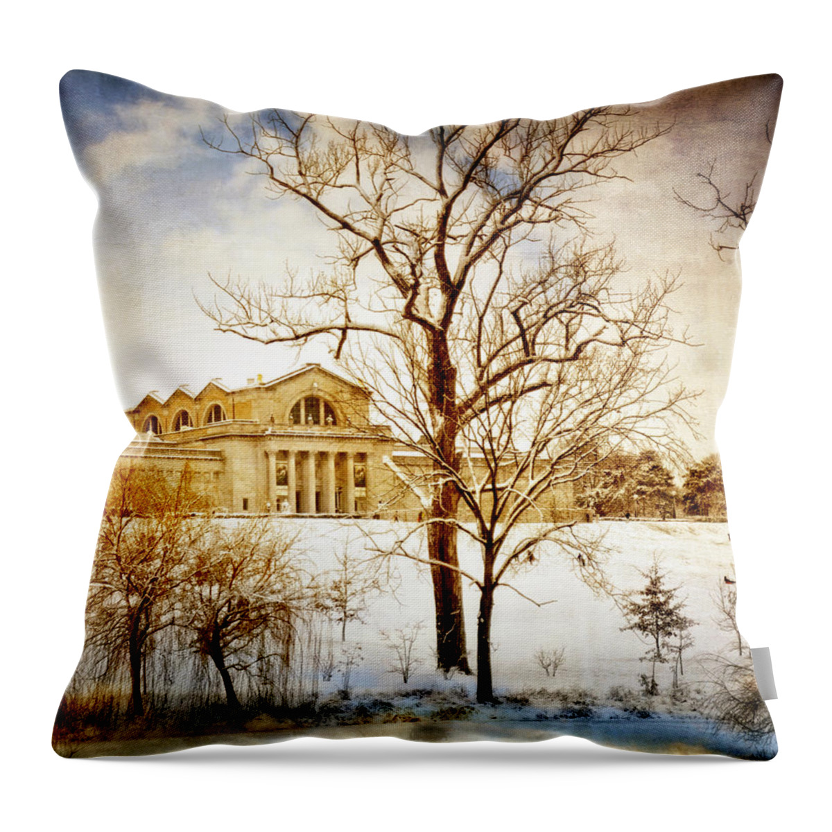 St. Louis Throw Pillow featuring the photograph Winter At The Art Museum by Marty Koch