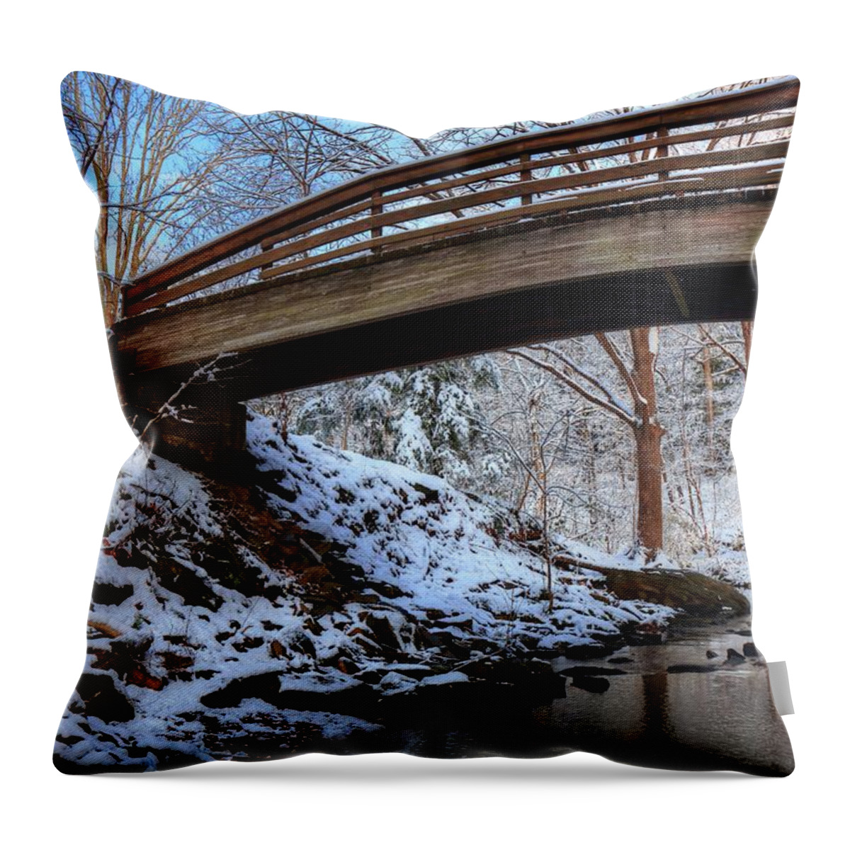 Botanical Gardens Asheville North Carolina Throw Pillow featuring the photograph Winter At The Botanical Garden Bridge Asheville North Carolina by Carol Montoya