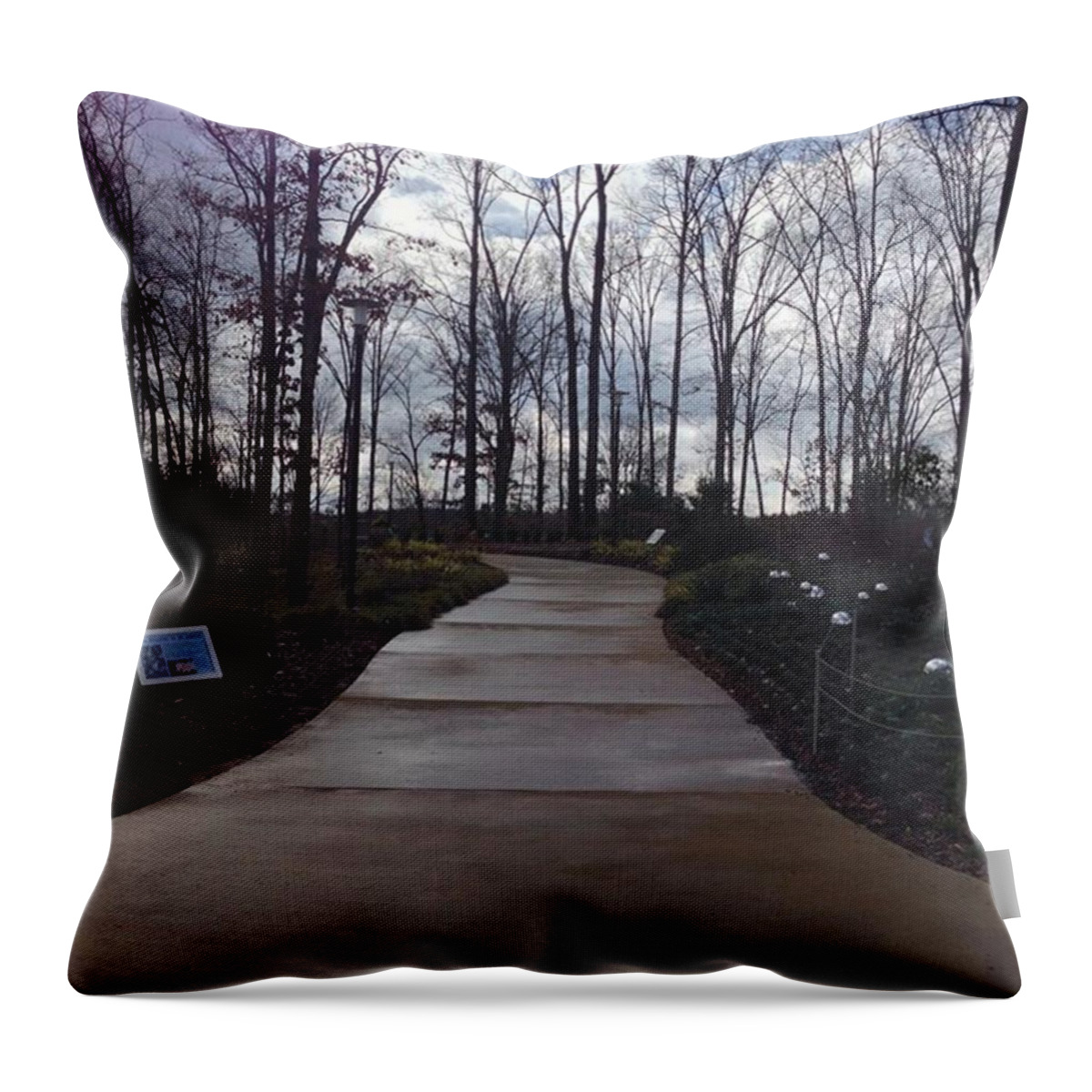  Throw Pillow featuring the photograph Winter At The Gardens by Daniel Eskridge