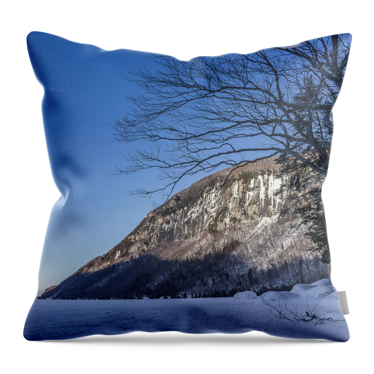 Winter Throw Pillow featuring the photograph Winter at Willoughby by Tim Kirchoff