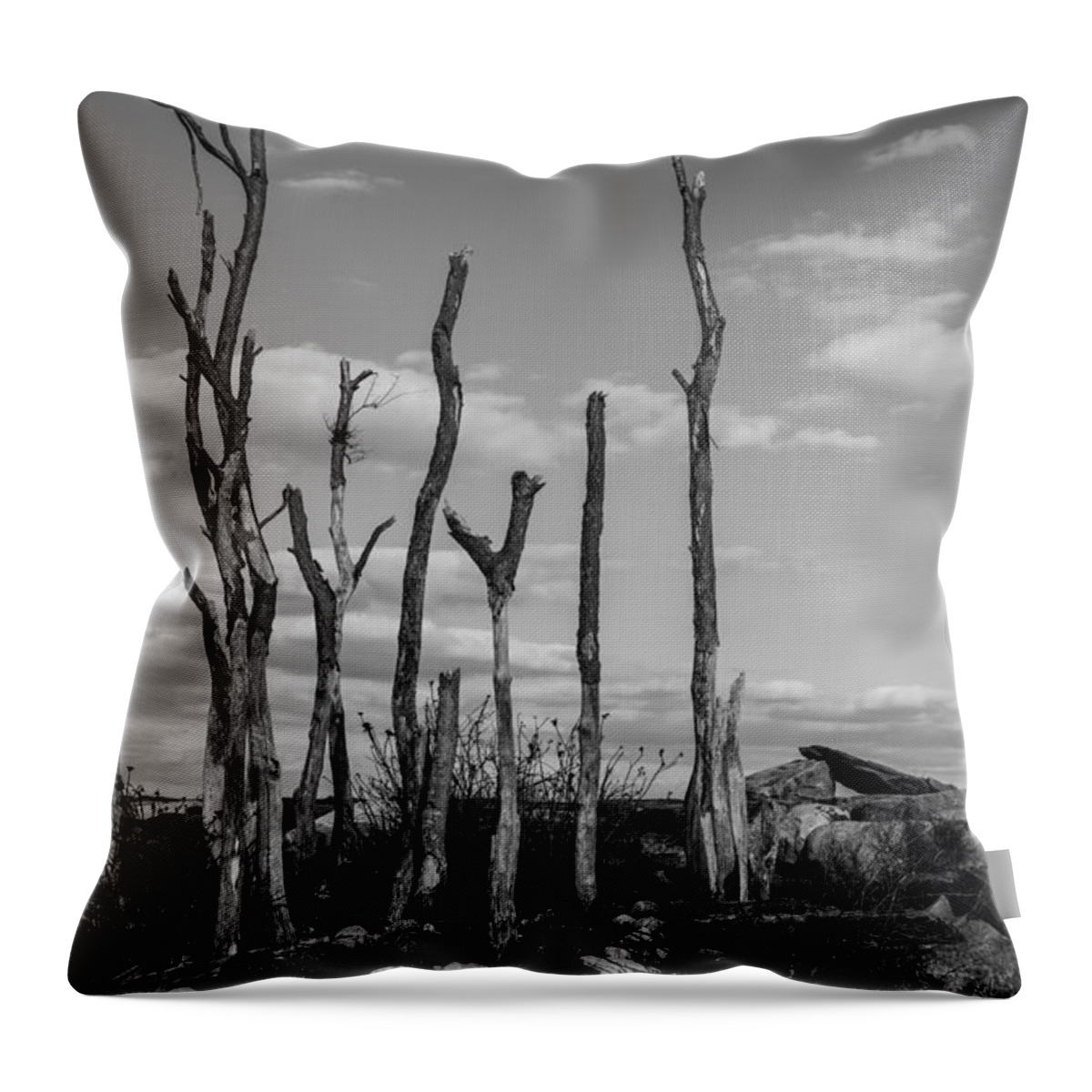 Winter Bare Throw Pillow featuring the photograph Winter Bare by Karol Livote