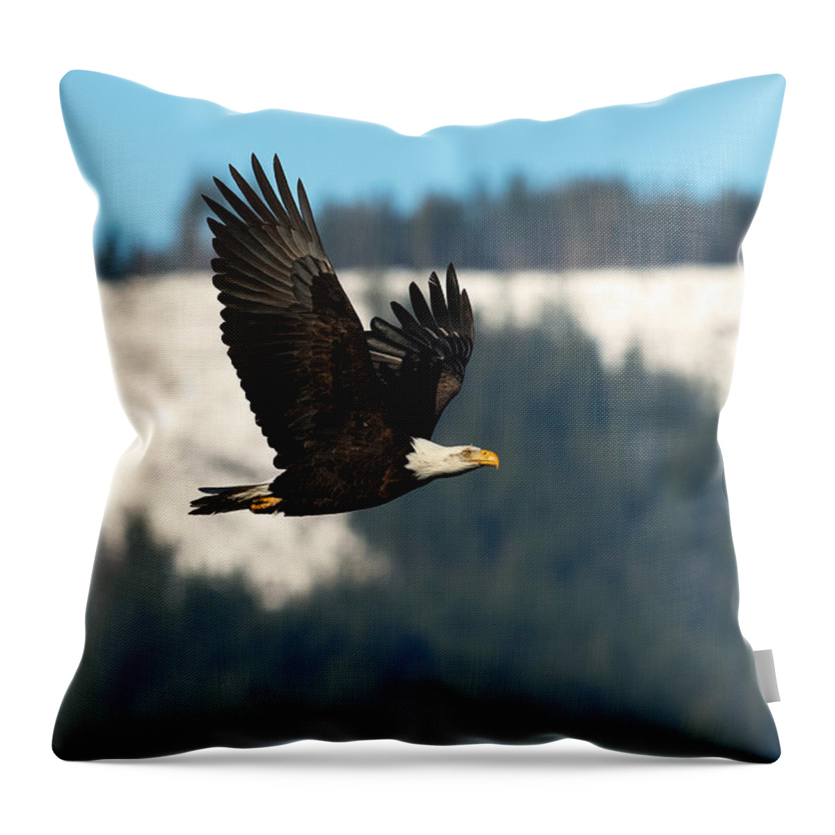 Eagle Throw Pillow featuring the photograph Winter Beauty by Shari Sommerfeld