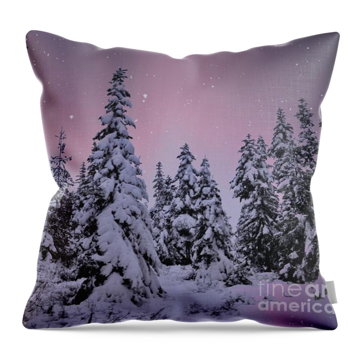 Landscape Throw Pillow featuring the photograph Winter Beauty by Sheila Ping
