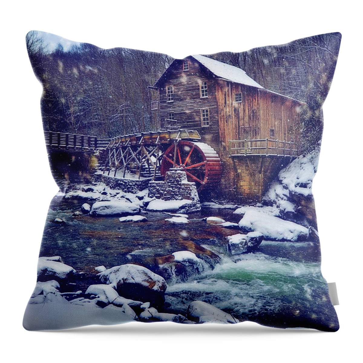 Privacy Throw Pillow featuring the photograph Winter Begins by Lisa Lambert-Shank