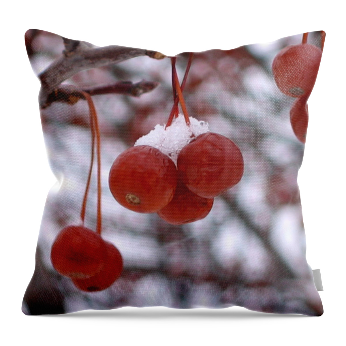 Winter Throw Pillow featuring the photograph Winter Berries by Laura Kinker