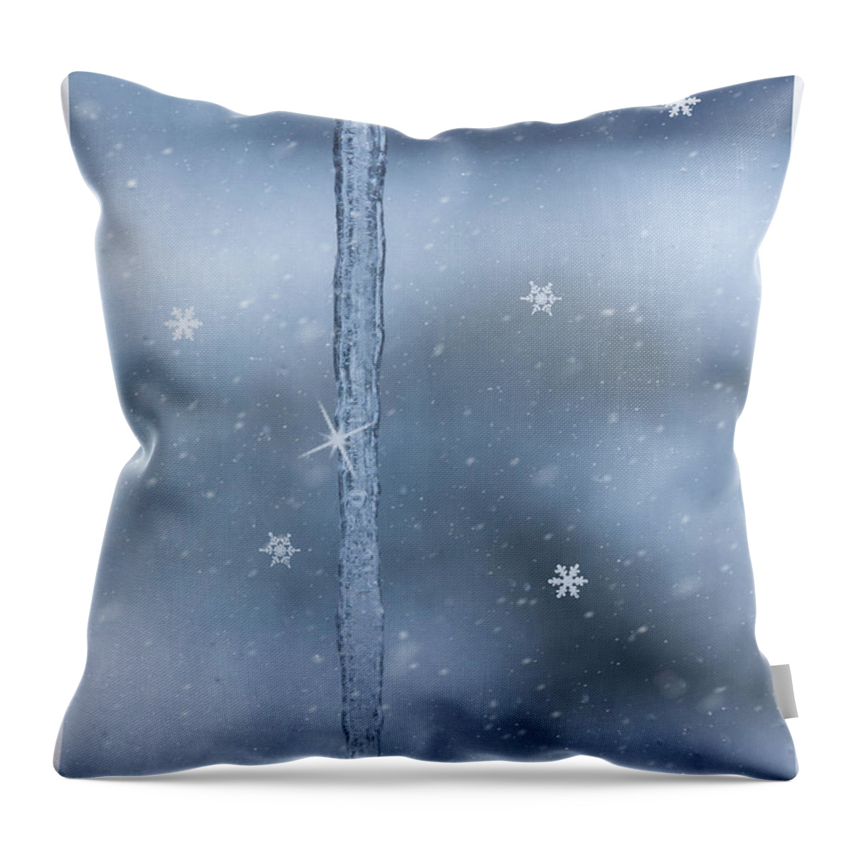 Winter Throw Pillow featuring the photograph Winter Blues by Cathy Kovarik