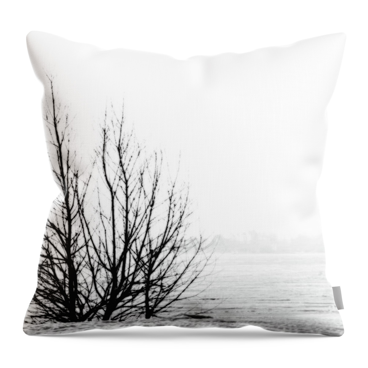 Winter Throw Pillow featuring the digital art Winter Bones by JGracey Stinson