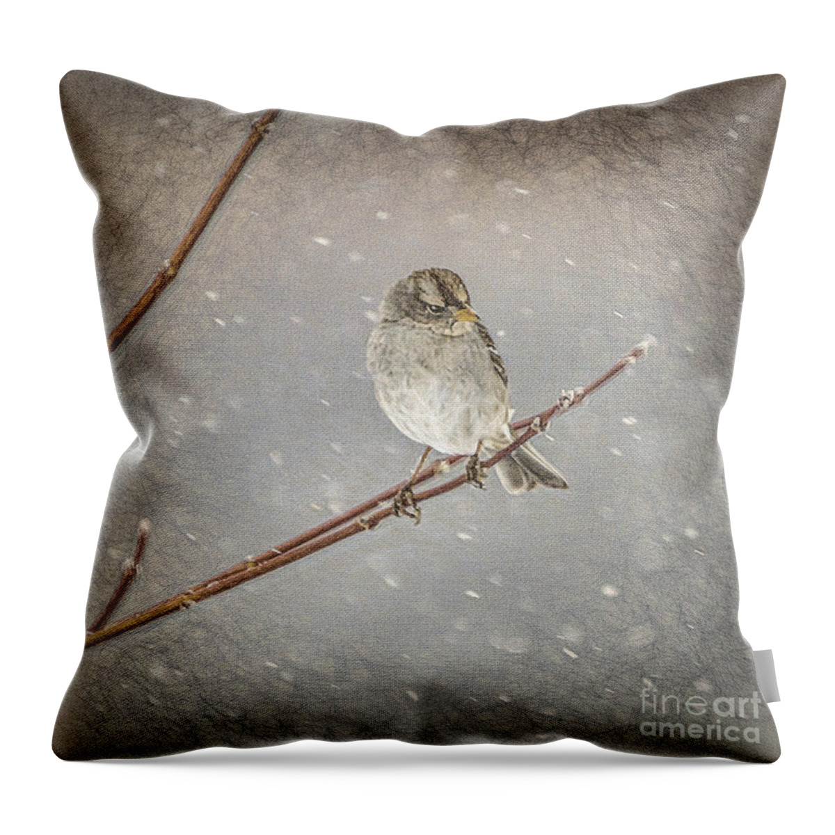 Janice Rae Pariza Throw Pillow featuring the photograph Winter Branches by Janice Pariza