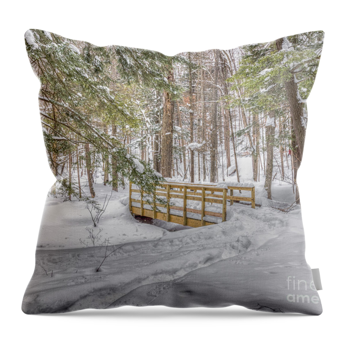Streams Throw Pillow featuring the photograph Winter Bridge by Rod Best