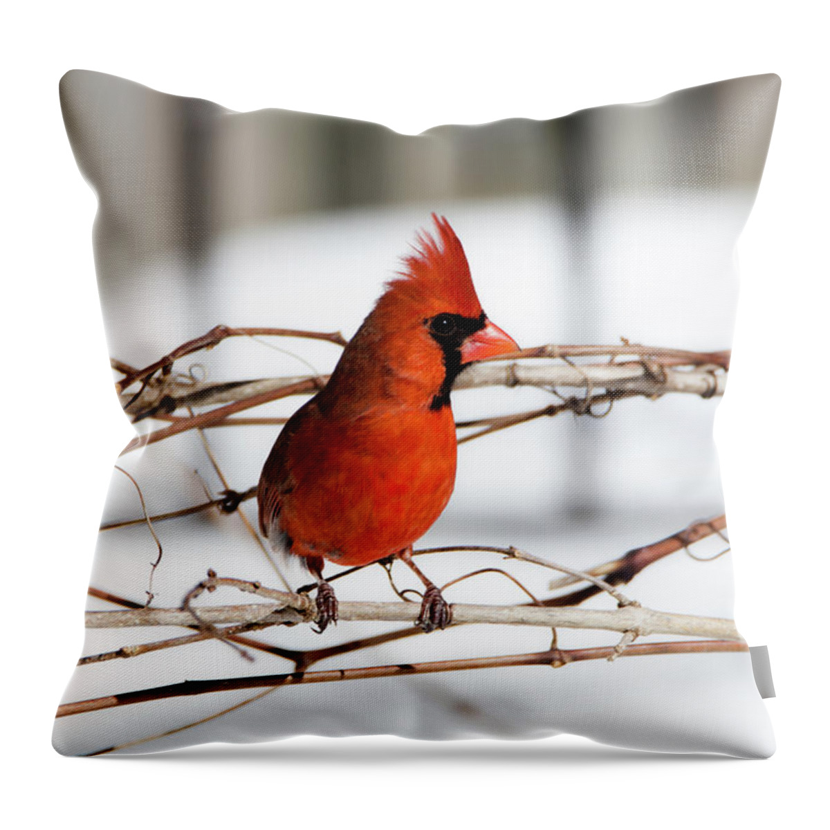 Cardinal Throw Pillow featuring the photograph Winter Cardinal 12 by David Stasiak