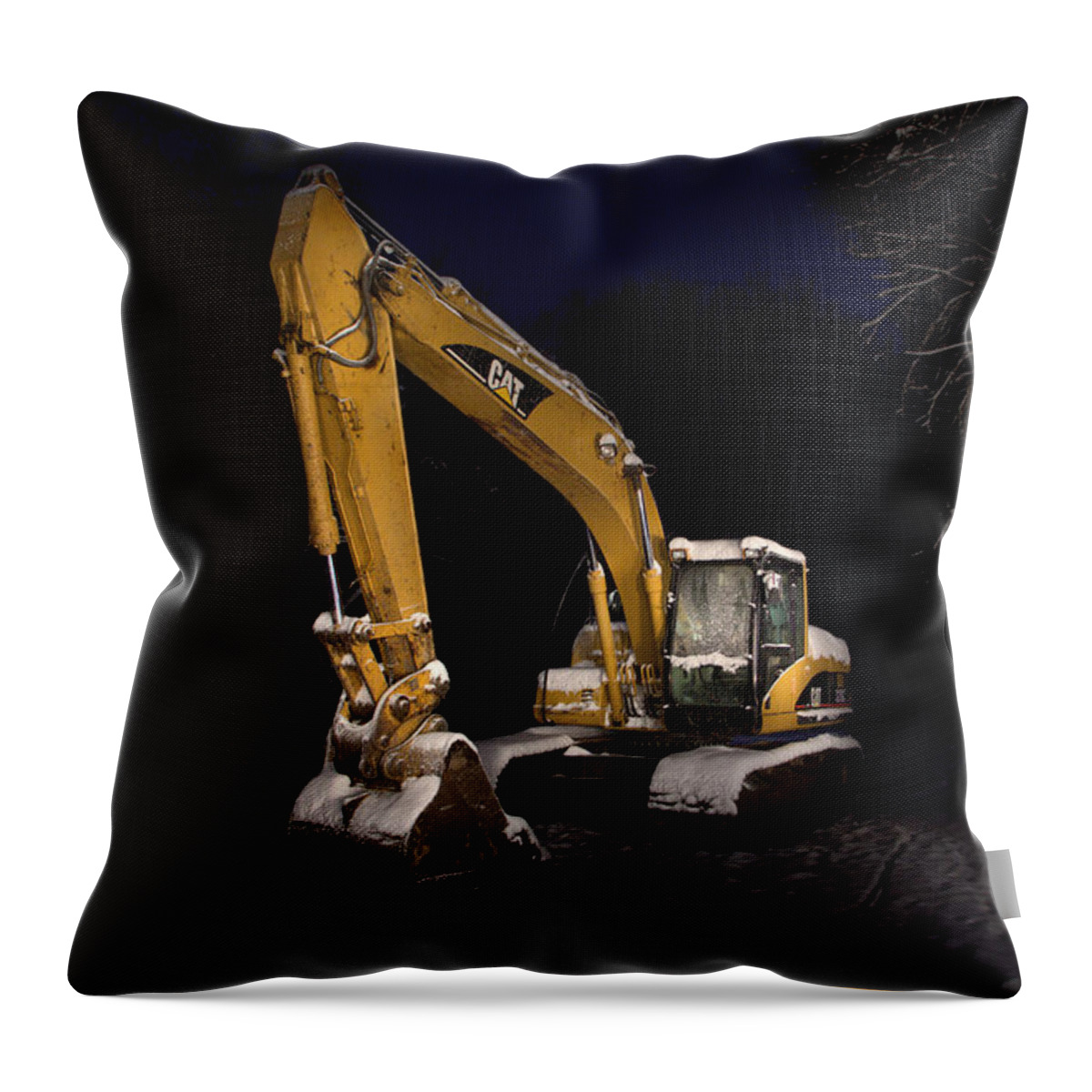 Cat Throw Pillow featuring the photograph Winter Cat Landscape by David Andersen