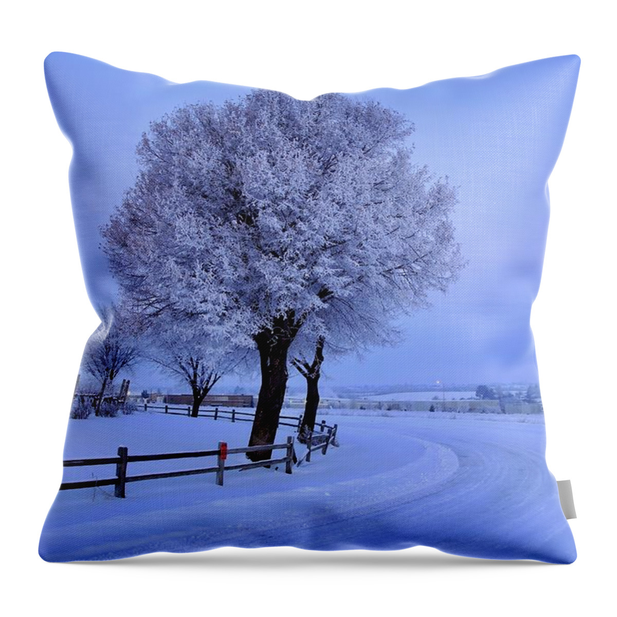 Winter Chill Version 2 Throw Pillow featuring the photograph Winter chill version 2 by Lynn Hopwood