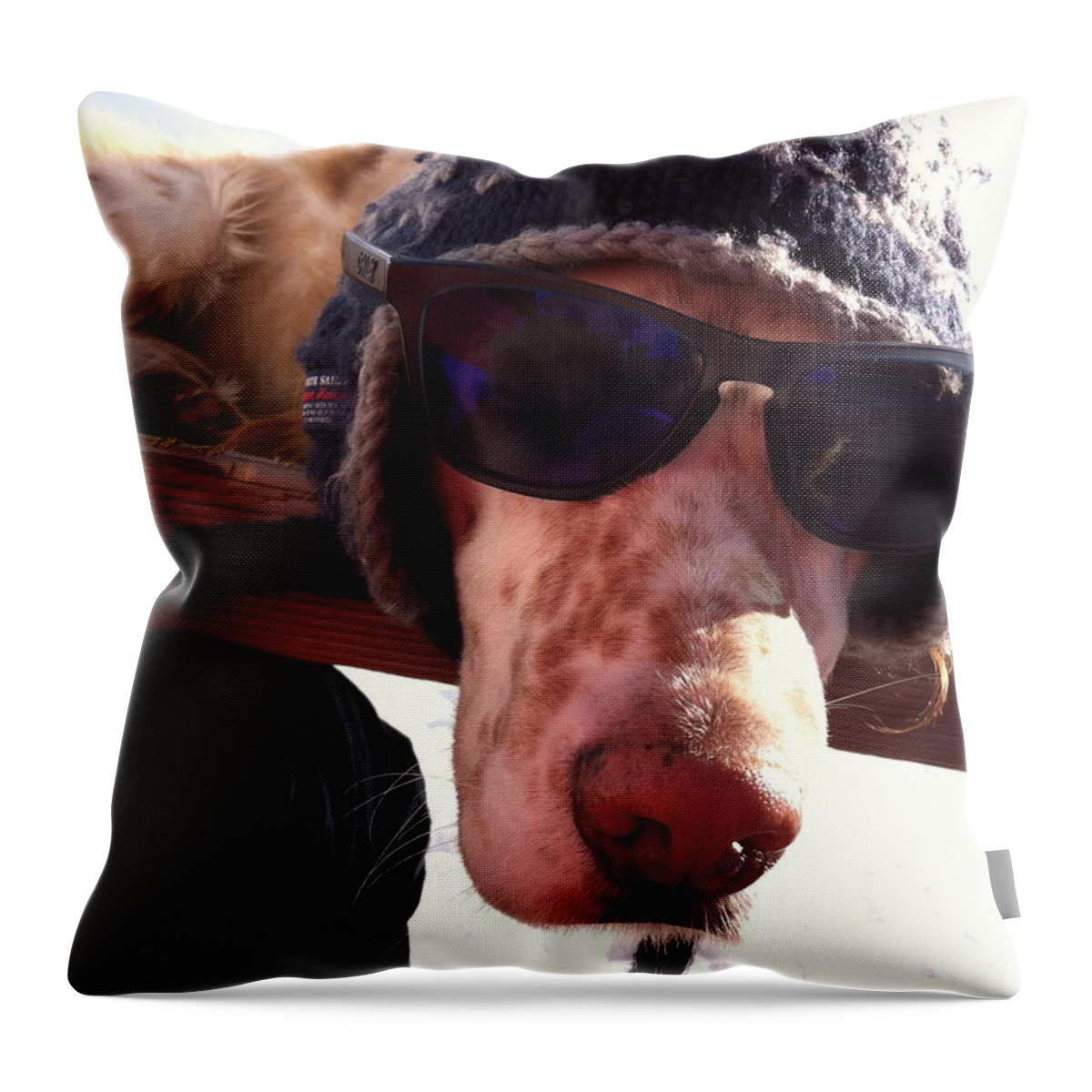 Hummer Throw Pillow featuring the photograph Winter Cool by Hummer Marcoaldi