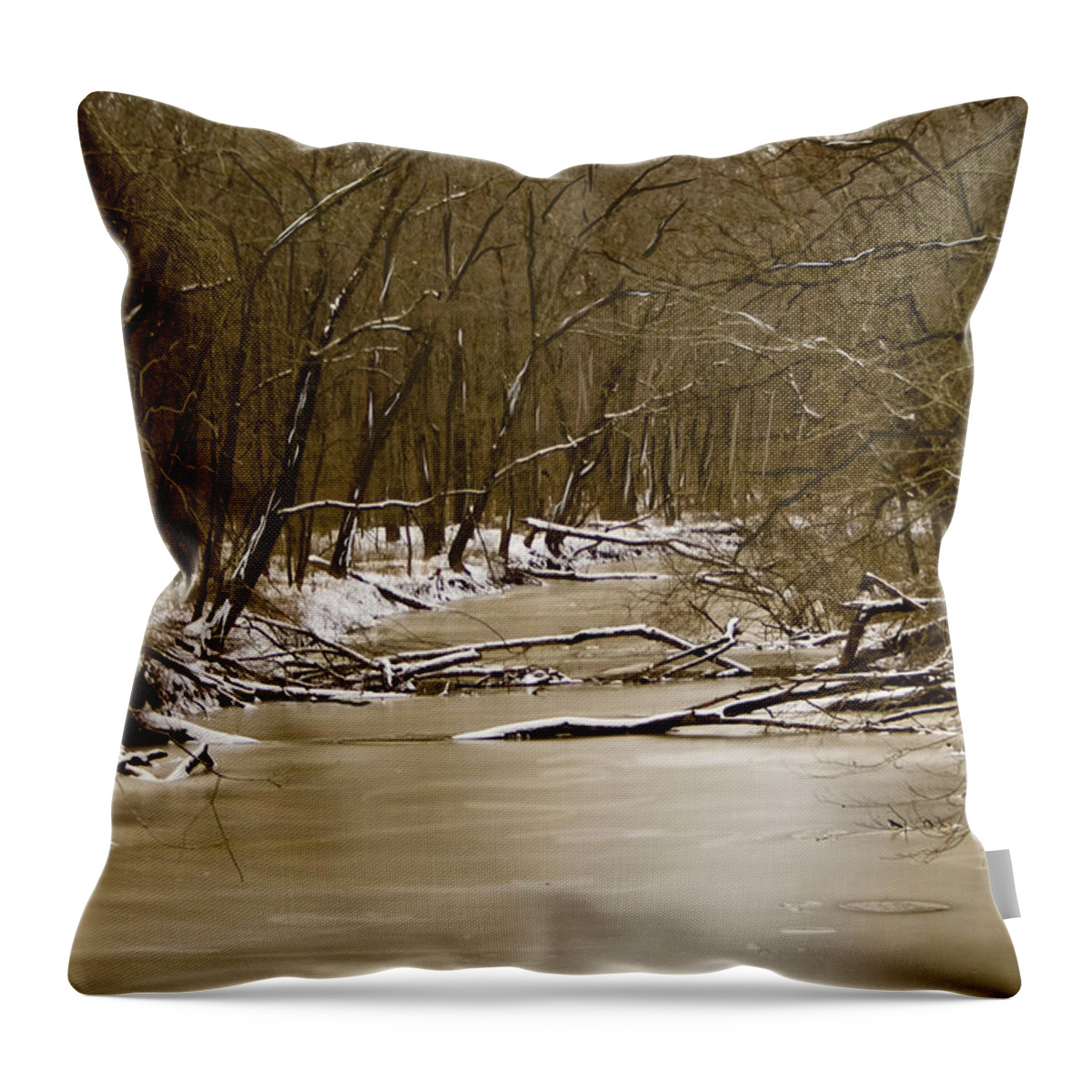Creek Throw Pillow featuring the photograph Winter Creek by Bonnie Willis