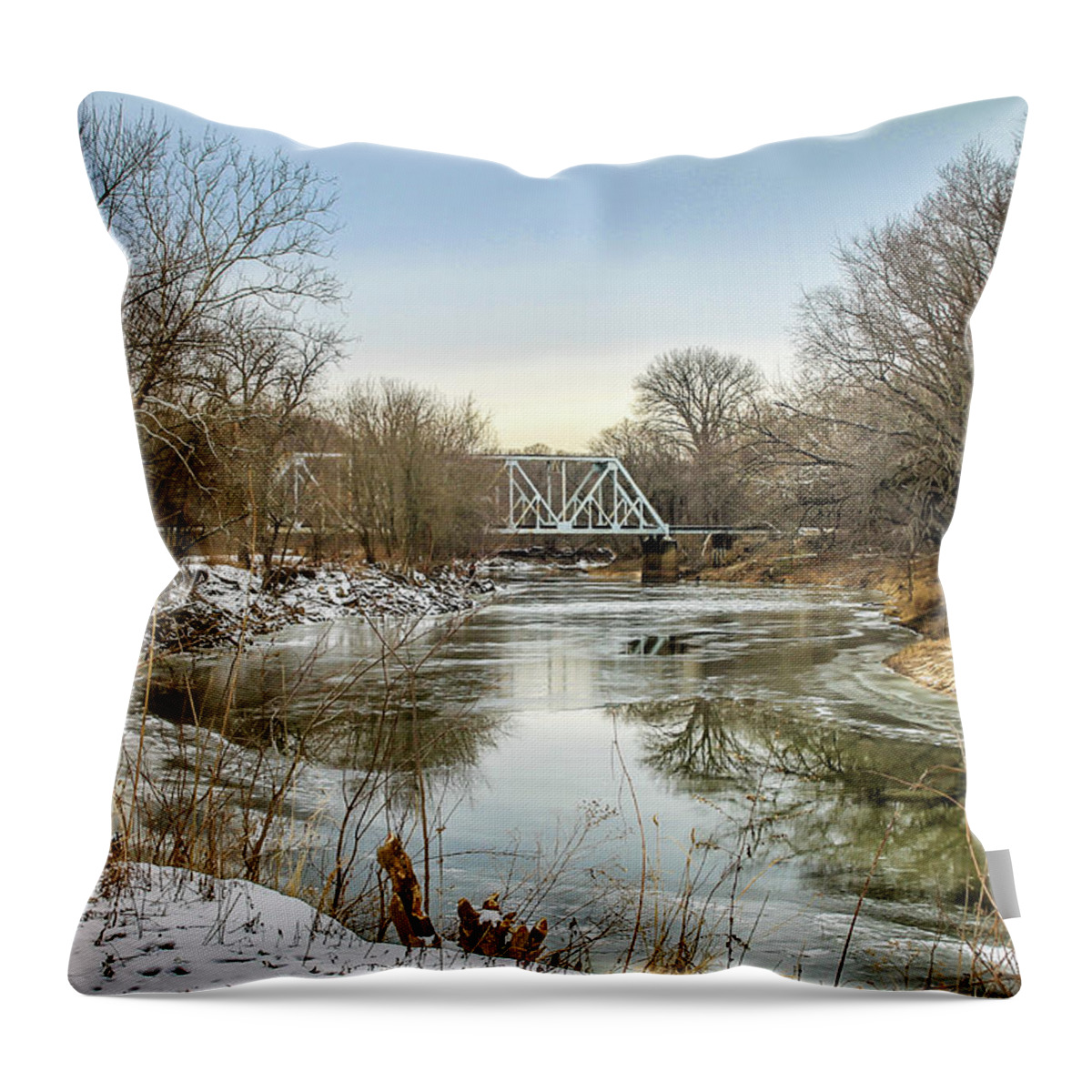  Throw Pillow featuring the photograph Winter Day by Tony HUTSON