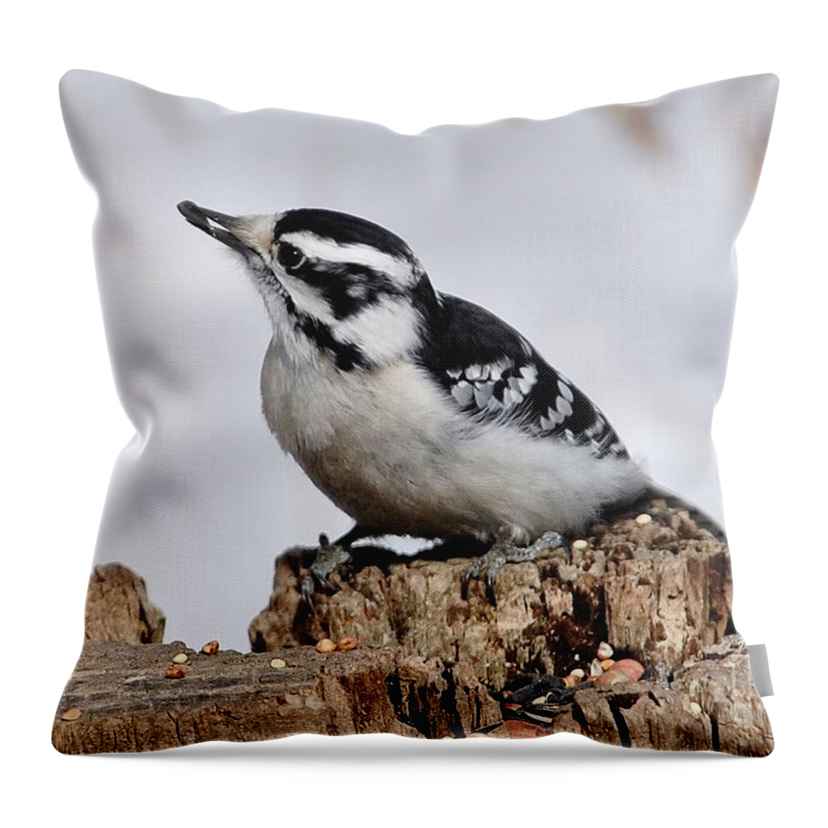 Bird Throw Pillow featuring the photograph Winter Downy Woodpecker by Elaine Manley