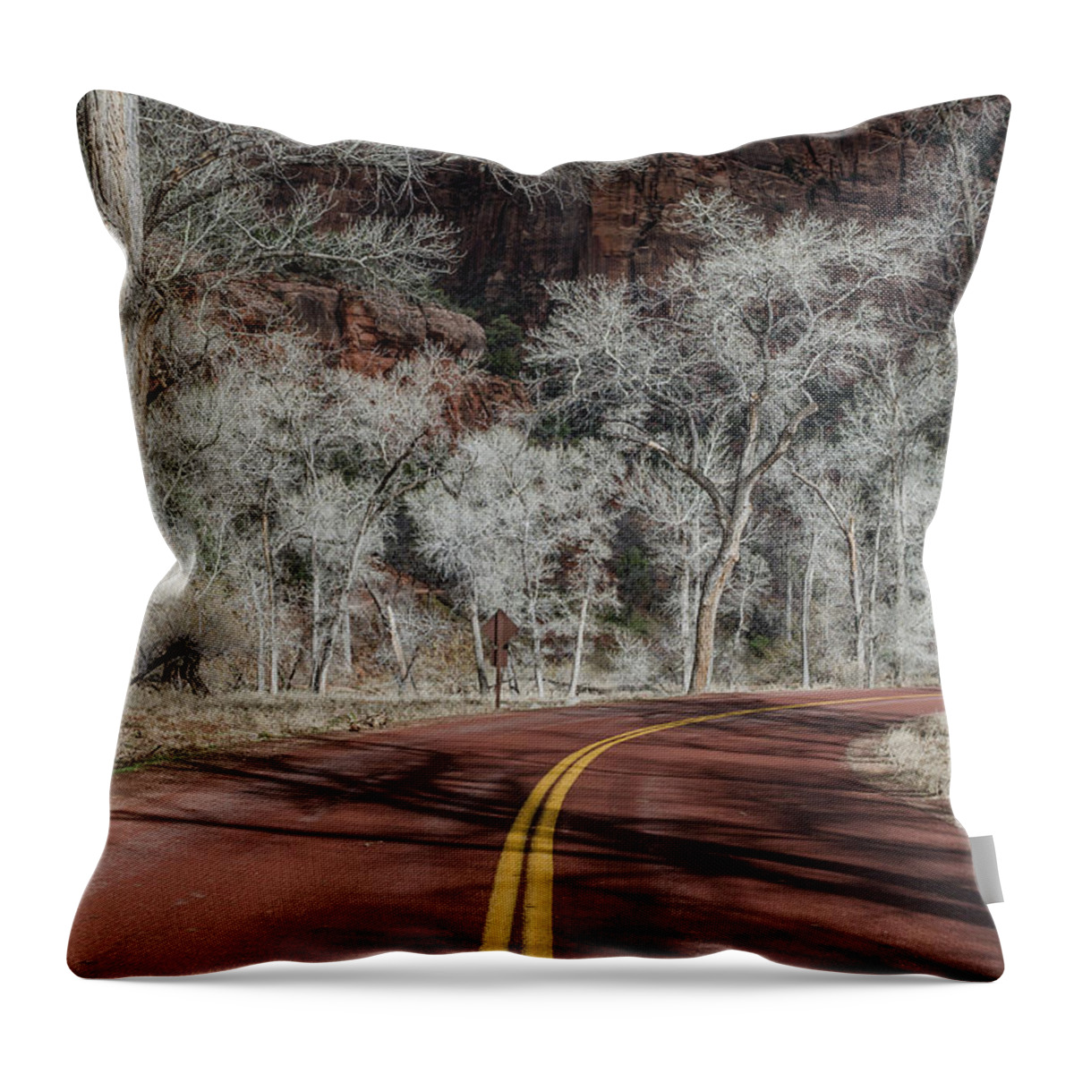 Zion National Park Throw Pillow featuring the photograph Winter Drive Through Zion Canyon by Greg Nyquist