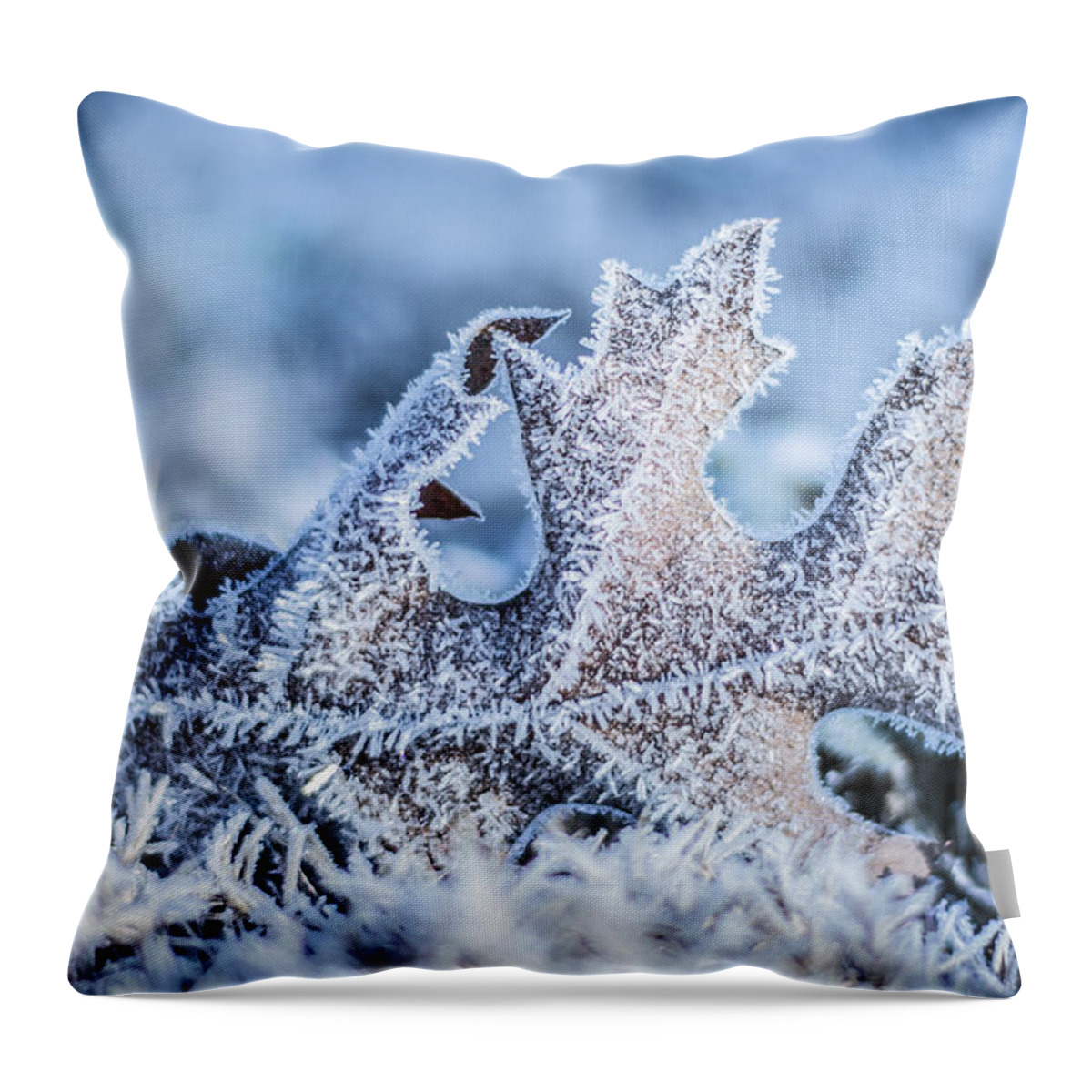 Ice Throw Pillow featuring the photograph Winter Frost by Parker Cunningham